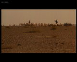 ʥ�ض���ɾ���