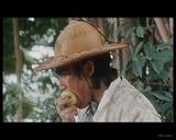 �񾭵������è����