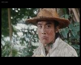 �񾭵������è����