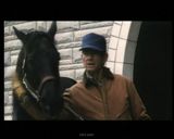 ��ҹ�������