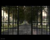 ��ҹ�������