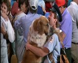 ��ͷ��̽����