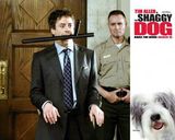 ��ë������