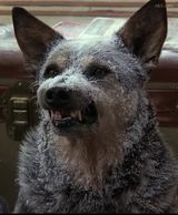 �ɻ����𳵺���������