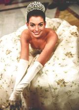 �����ռǾ���