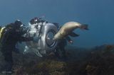 海底世界3D剧照