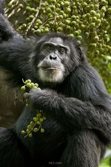 �����ɾ���