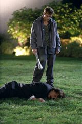 ����ЧӦ����