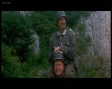 �������վ���