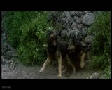 �������վ���