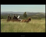 �������վ���