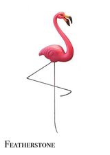 ��ŵ��ŷ������Ҷ����