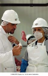 ��͹��Ҿ���