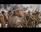 �׶��Ͽյ�ӥ����