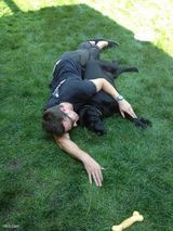 �̼�������