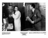 �����쿪����