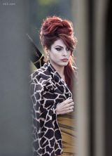 ��ʥ���о���