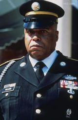 ʯ��԰����