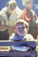 һ·���������