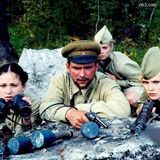 ��������������ľ���