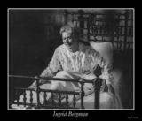 ��ٹ�������