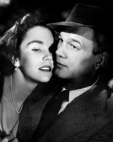 ���ݵĻ������