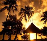 �������죬�����ĺ�����