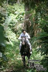 ����Ϊ������˾���