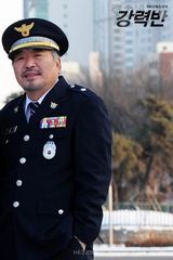 ǿ�������