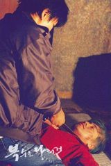 ��Ҫ�������